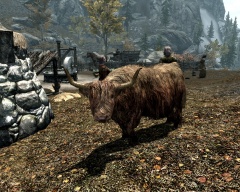 La vache de Fort-Ivar