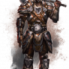 Medium Nord armor