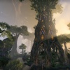 Tower in Grahtwood