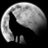 Je Ne Peux Plus Jouez - dernier message par The wolf