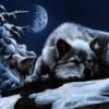Morroblivion: Morrowind Dans Oblivion [Projet Arrêté] - dernier message par kenzo
